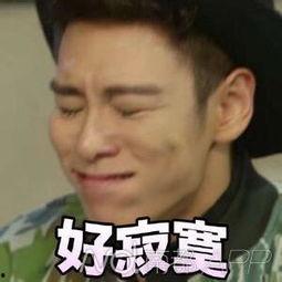 big糖糖表情包,甜蜜瞬间，趣味横生