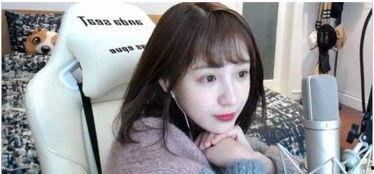 网红主播平台有哪些,热门平台大盘点与趋势分析